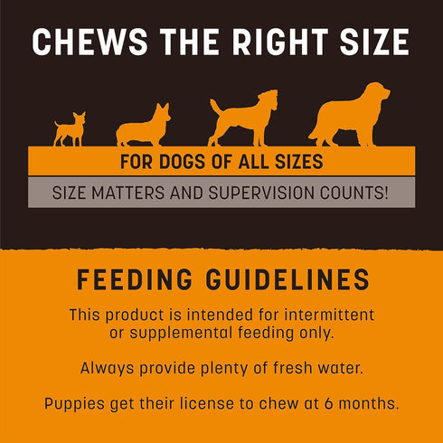 Earth Animal No Hide Strips Chicken Flavored Natural Treats | Quick & Thin Dog Chews | 4 Pack, 16 Count