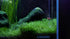 LANDEN AERVITA CO2 Diffuser Kits, Nano-Sized Ceramic Disc for Aquarium CO2, Suction Cups & Silicone Hose, 10-30gal