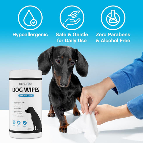 NonScents 75 Deodorizing & Cleaning Dog Grooming Wipes - Fragrance-Free Pet Wipes for Dogs, Unscented for Quick Baths