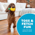 Outward Hound Dental Pineapple Chew Toy, Interactive Treat Stuffer, Durable Stuffable Dog Toy, Yellow