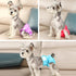 Pack 3,Small wegreeco Christmas Washable Reusable Premium Dog Diapers, XX-Large, Bright Color, for Female Dog, of Dog