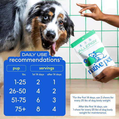 Native Pet Dog Allergy Chews - All Natural Relief with Probiotics and Colostrum for Itchy Skin, 60 Chews