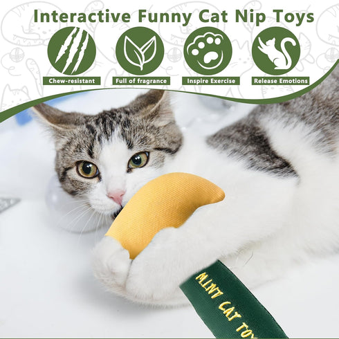 5 Pack Catnip Toys for Cats, Chew Resistant Cat Toys with Natural Catnip, Interactive Funny Shape Kitten Kicher, Soft