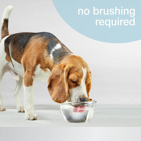 Nylabone Advanced Oral Care Dog Water Additive - Liquid Tartar Remover for Dental Care, 16 oz.