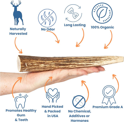 Elk Antlers for Dogs - USA Sourced Antler Chews for Aggressive Chewers, Promotes Oral Health for All Sizes