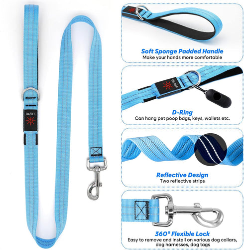 4 Ft Led Dog Leash - Rechargeable Light Up Waterproof, Safety Glow In The Dark for Night Walking, Nylon Reflective