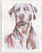 Stupell Industries House Dog Pet Portrait Labrador Soft Tone Painting by Melissa Wang, Wall Plaque, 10 x 15, Off-White