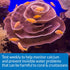 API CALCIUM TEST KIT, 1-Count Saltwater Aquarium Water Test Kit (69L)