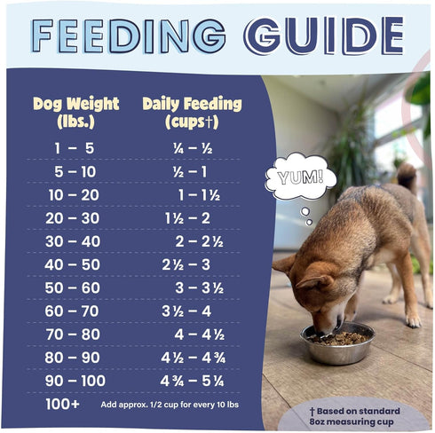Recommended, 2lb Pawstruck Air Dried Dog Food with Real Beef, Grain-Free, Made in USA, Non-GMO & Vet High Protein