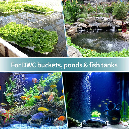 Pawfly 8 Pack 2 Inch Aquarium Air Stone Ball, Airstones for Fish Tank, Hydroponics, Pond, and DWC Reservoir