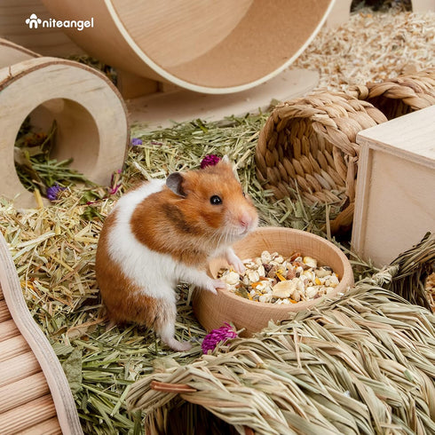 Niteangel Wooden Hamster Feeding Bowl - Small Animal Food Dish for Dwarf Syrian Hamsters (Hammy Pattern)