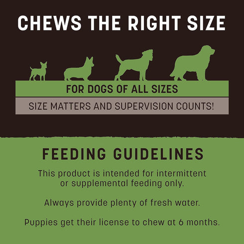 Earth Animal No Hide Strips, Pork Flavored Natural Treats, Quick & Thin Dog Chews, 4 Pack, 16 Count