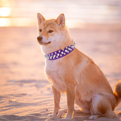 TEEMERRYCA Adjustable PU Leather Spiked Studded Dog Collars with Squeak Ball Gift for Small Medium Large Pets, Purple