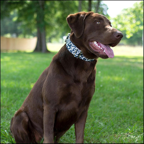 Country Dairy Cow Print Polyester Webbing - Brook Design