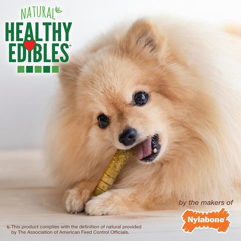 Nylabone Healthy Edibles Natural Dog Chews Long Lasting Chew Treats, Turkey & Apple Flavor, X-Small/Petite (12 Count)