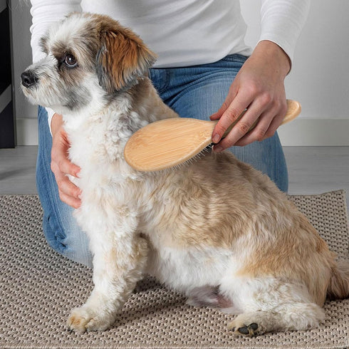 Stainless Steel Pin Dog Brush with Bamboo Handle, Professional Grooming Brush for Long or Short Hair