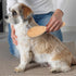 Stainless Steel Pin Dog Brush with Bamboo Handle, Professional Grooming Brush for Long or Short Hair
