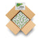 Compact Personal Shower Kit To-Go (Green) Your Hygiene Companion for Travel, Gym,