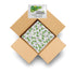 Compact Personal Shower Kit To-Go (Green) Your Hygiene Companion for Travel, Gym,