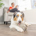 Hyper Pet Doggie Tail Interactive Plush Automatic Dog Toys, Durable, Wiggles, Vibrates, and Barks, Batteries Included