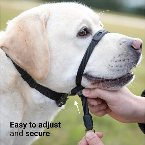 SVD.PET No-Pull Dog Headcollar for Easier Walks, Chew-Proof Protector for Medium and Large Dogs