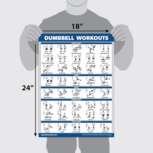 Palace Learning 3 Pack Dumbbell Workouts Posters Volume 1 & 2 with Barbell Exercises - Set of 3 Charts