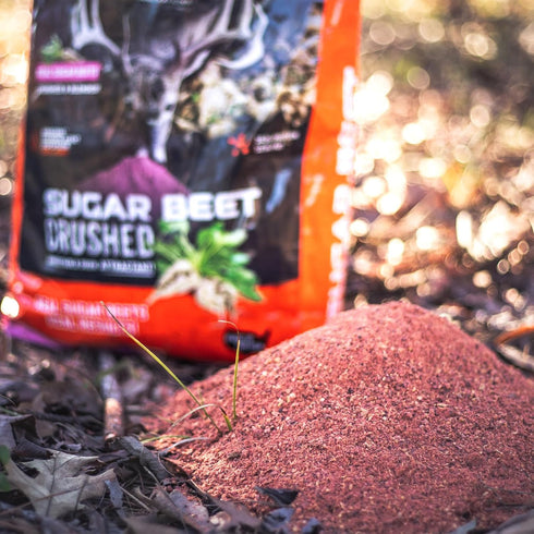WILDGAME Innovations Sugar Beet Crushed Deer Attractant | Effective Ultra-Concentrated Nutrient-Filled Deer Feed