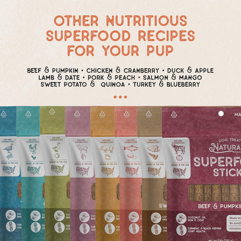 10oz Dog Treat Naturals Superfood Sticks, Beef & Pumpkin, Bag | Dog Chew Sticks | All-Natural, Pet Training Treats |