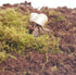 Begeterday 3PCS, 2PCS 15oz 1PCS 3.5oz Hermit Crab Accessories Include Coco Coir Brick, Moisture-Retaining Substrate