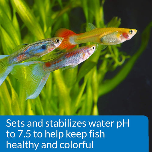 7.5 9.2-Ounce 7.5 260 API Proper pH Freshwater Aquarium Water pH Stabilizer Container, Proper PH PWDR JAR-Small, Whites