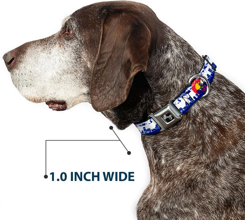 Buckle-Down 13-18" Colorado Skyline/Mountains Dog Collar, Wide Small Bone