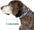 Buckle-Down 13-18" Colorado Skyline/Mountains Dog Collar, Wide Small Bone