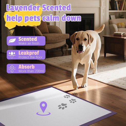 30"x36" 30Counts Lavender Scented Super Absorbent & Leak-Proof Puppy Pads, Odor Control Pet Training Dog Pee Pads