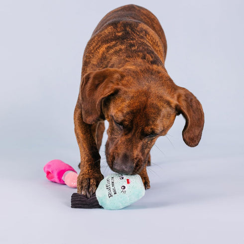 Fringe Studio Plush Dog Toy Set with Treat Pockets for Interactive Play, Wake Up and Make Up, 2 Piece Set