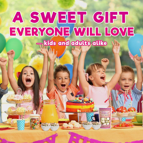 2 Pack, 2.5 oz, Freeze Dried Ice Cream Sandwich Bites, Vanilla, Crunchy & Sweet Snack, Dehydrated, Resealable Gift Bag
