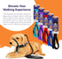 Sidekick Dog Headcollar with Leash - Effective Training Tool for Leash Reactivity (Black, Mini (1/4"))