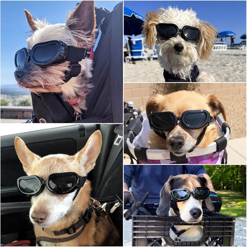 Enjoying Dog Goggles for Small Breed, UV Protection Sunglasses, Driving Eye Protection, Black