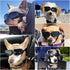 Enjoying Dog Goggles for Small Breed, UV Protection Sunglasses, Driving Eye Protection, Black