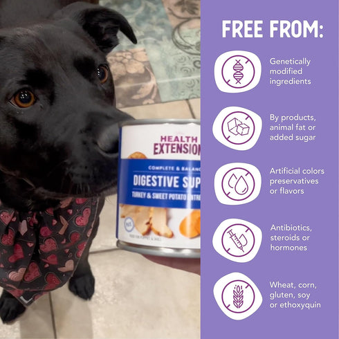 Health Extension Gravy Dog Food, Turkey & Sweet Potato Entrée, 9 Ounce, 12 Cans, Digestive Support