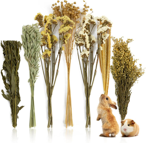 Sukh 47Pcs Natural Hamster Bedding - Flower Herb Sprays Enclosure Decor &