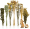 Sukh 47Pcs Natural Hamster Bedding - Flower Herb Sprays Enclosure Decor &