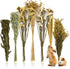 Sukh 47Pcs Natural Hamster Bedding - Flower Herb Sprays Enclosure Decor &