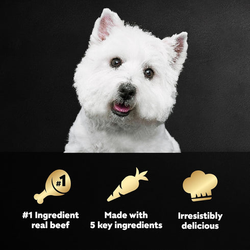 CESAR SIMPLY CRAFTED Adult Wet Dog Food Meal Topper, Beef, Chicken, Purple Potatoes, Peas & Carrots, 1.3 oz, Pack of 10