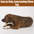 SPOT Bam-Bones Plus T-Bone Dog Chew, Bamboo Fiber & Nylon, Durable for Aggressive Chewers, 6in