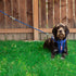 EzyDog Standard 24-Inch Rope Dog Leash Extension - Black - Reflective Trim for Nighttime Safety