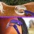11 Horse Grooming Kit - Piece Bathing Supplies with Organize Bag, Full Body Kit Including Sweat Scraper, Bath Sponge