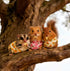 Magnoloran 2PCS Washable Squirrel Diapers - Reusable Small Pet Diapers with Strong Hook and Loop Leak-Proof Urine Wet