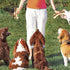 Dog Chew Toys for Aggressive Chewers - 2 Pack Nylon Durable Bones with Real Beef Flavor for All Breeds