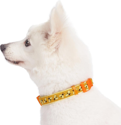 Blueberry Pet Essentials 10 Patterns Busy Bees Designer Adjustable Dog Collar, Small, Neck 12"-16"