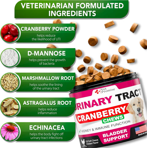 Dog UTI Treatment, Cranberry Supplement for Bladder Control, Urinary Tract Infection Medicine for Dogs, Multivitamin